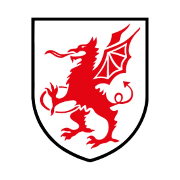 Rhyl and District RFC Thumbnail