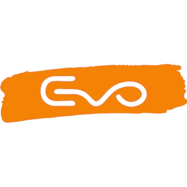 evo brush stroke Thumbnail