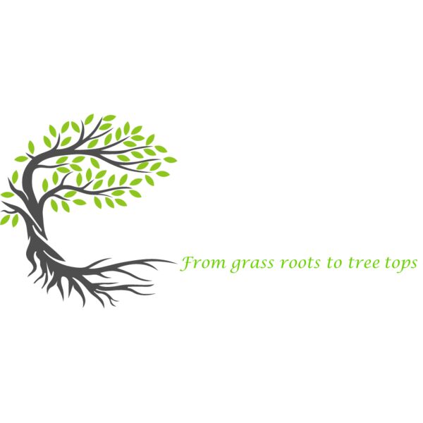 gw grounds GK dtf Thumbnail