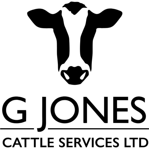 G JONES CATTLE DTF Thumbnail
